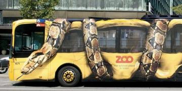 graphic wrapped promotional vehicle promoting local zoo 